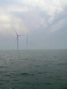 clip_image002.jpg clip_image002.jpg